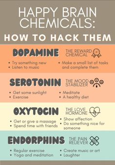 Happy Brain, Brain Chemicals, Mental Health Facts, Health Facts, Healthy Mind