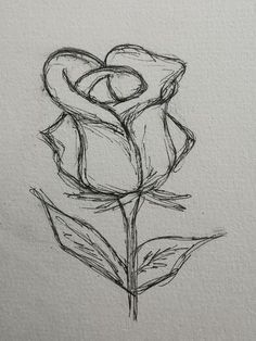 a drawing of a single rose on paper