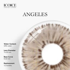 ICOICE Angeles Brown | 1 Year Brown Circle Lenses, Hazel Lenses Contact Lens, Doll Eye Contacts Circle Lenses, 1 Year, Contact Lenses Colored, Angel, Color