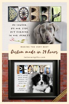 a dog is sitting in front of a brick wall with some words above it that say, make the very best custom made pet portrait