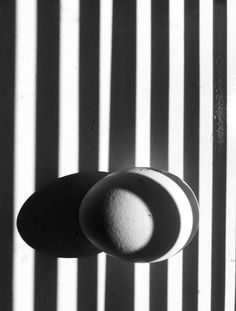 The sun shines through the window and give stripes on a White egg. Black and White picture. Artists Houses, Distortion Photography, Dog Portrait Photography, Diy Clay Rings, Mobile Photography Tips, Light And Shadow Photography, Homemade Pictures, Geometric Photography, Sister Art