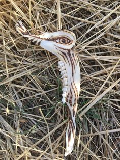 a white and brown animal head laying on top of dry grass