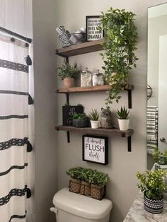 a bathroom with two shelves above the toilet and some plants on the shelf next to it