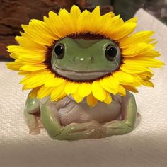 a frog with a sunflower on its head