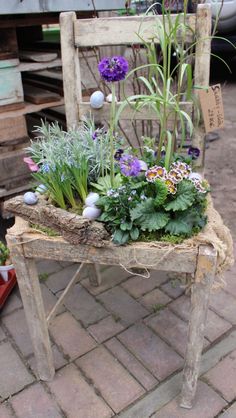 an old chair is filled with flowers and plants