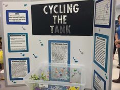 a display with information about the water cycle