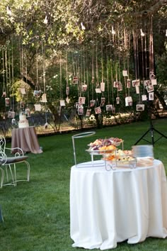 a table with food on it in the grass