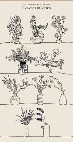 an image of flowers in vases drawn by hand