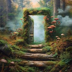 an open door in the middle of a forest filled with mushrooms