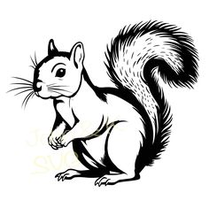 a black and white drawing of a squirrel with its tail spread out, looking to the side