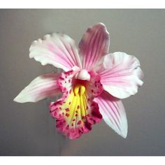 a pink and white flower with yellow stamens on it's center piece