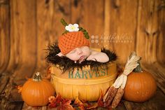 a newborn baby is sleeping in a basket with pumpkins and leaves around it on a wooden surface