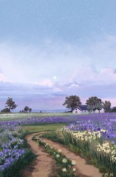 a field full of purple flowers under a blue sky with stars in the night sky