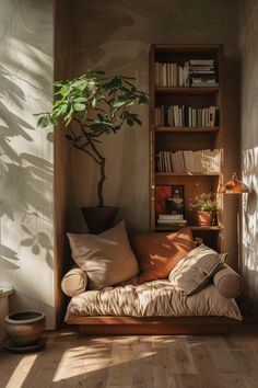 a living room with a couch, bookshelf and potted plant in the corner