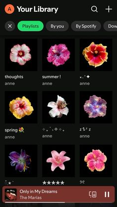 an iphone screen with flowers on it and the text, your library playlists by spotly