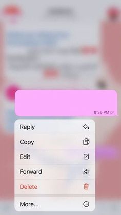 an iphone screen with the texting section highlighted in red and white, which is clearly visible