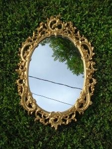 a mirror sitting on top of a lush green field