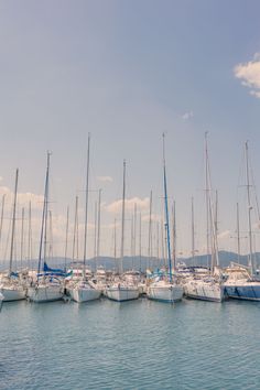 many sailboats are docked in the water