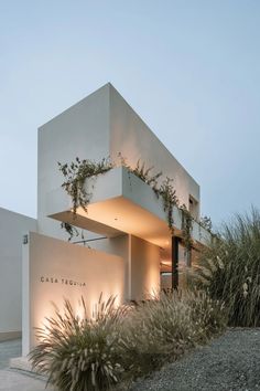 an exterior view of a white building with plants growing on the side and lights above it