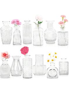 many different vases with flowers in them on a white background, including one pink rose