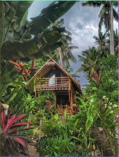 a house surrounded by tropical plants and trees