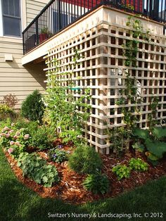 a garden area with plants and flowers in the foreground, next to a house