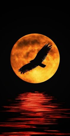 a large bird flying over the water in front of a full moon with red clouds