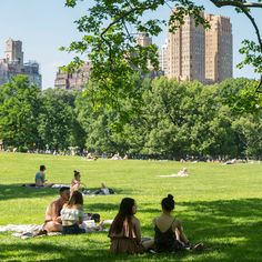 several people sitting on the grass in a park