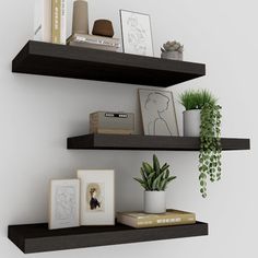 two black shelves with books and pictures on them, one has a potted plant