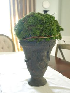 a potted plant sitting on top of a table covered in green mossy plants