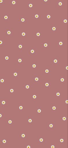 a pink background with white daisies on it