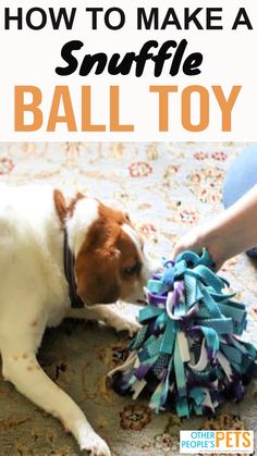 a dog playing with a ball toy on the floor and text overlay reads how to make a snuffle ball toy