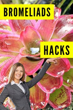 a woman holding up a sign that says bromelias hacks in front of flowers