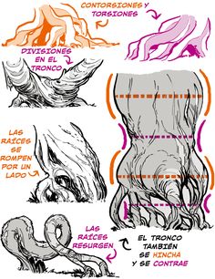 an image of different types of legs and their corresponding parts are shown in this diagram