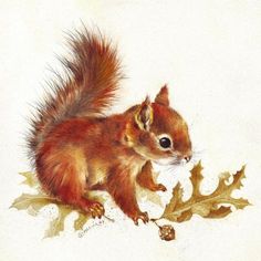 a painting of a squirrel eating acorns