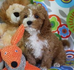 two stuffed animals sitting next to each other on a bed with colorful sheets and pillows