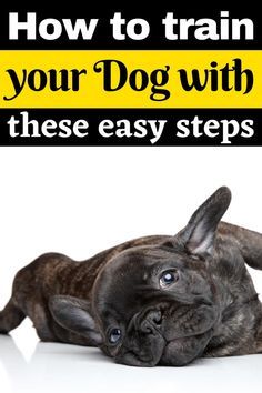 a dog laying on its back with the words how to train your dog with these easy steps