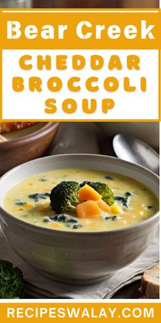 a bowl of bear creek cheddar broccoli soup