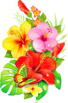 tropical flowers and butterflies on a white background - flowers & leaves seasons / plants nature