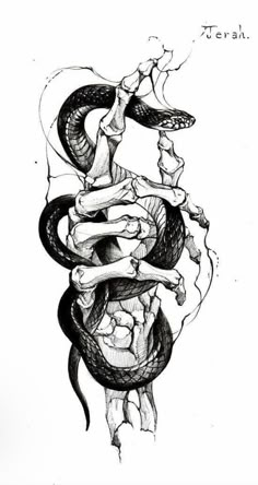 a black and white drawing of a snake in the shape of a human head with bones