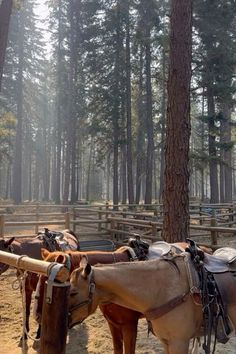 🐎🤍 Western Nature Aesthetic, Mountain Ranch Aesthetic, Western Luxury Home, Montana Ranch Life Aesthetic, Old Money Country Aesthetic, Horse Barn Aesthetic, Dream Life Country, Wyoming Farmhouse, Kenna Bangerter