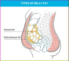 How To Lose Belly Fat, According to Science | Precision Nutrition How To Get Rid Of A Pot Belly, Losing Visceral Fat, Lower Stomach Fat, Flabby Belly, Sanne Vloet, Get Back In Shape, Belly Fat Reduction, Loose Belly, Precision Nutrition