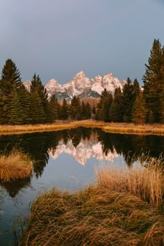 a lake surrounded by tall grass and trees with snow capped mountains in the back ground