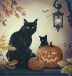 two black cats sitting next to each other with pumpkins