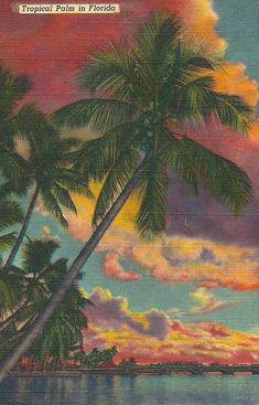 an old postcard with palm trees in the foreground and sunset on the horizon