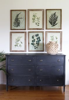 a black dresser with four framed pictures on the wall above it and a potted plant