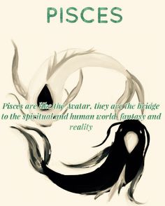 the cover of pisces is shown with an image of two black and white fish