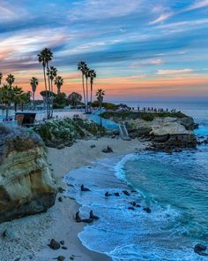 the beach is lined with palm trees and rocks