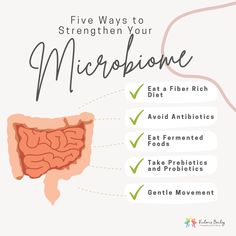 Microbiome Illustration, Fiber Rich Diet, Gut Issues, Mindful Movement, Plexus Slim, Healthy Microbiome, Naturopathic Medicine