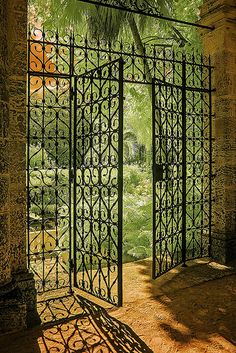 an iron gate is open to the garden